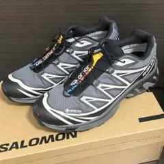 美品 25.5cm salomon XT-6ゴアテックス