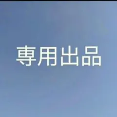 専用出品