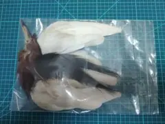 Item thumbnail for item 75ff58da-86f5-46af-a99c-e93ebd7f4ac6