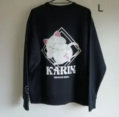 Item thumbnail for item e36032a3-f6d5-4ef3-8130-690eddd55d0c