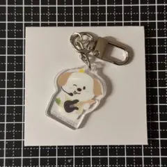 ち*こ様 RIIZE ランダム アクリル キーホルダー アントン　東京ドーム