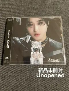 straykids バンチャン GIANT FC盤 4枚 新品未開封 Stray Kids スキズ GIANT バンチャン 封入 会場限定 タワレコ トレカ 4