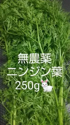 無農薬 ニンジン葉 250g 小動物用おやつのサムネイル