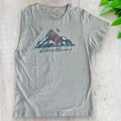 エディバウアー　ロゴと山のプリント　グレー　Tシャツ　メンズS