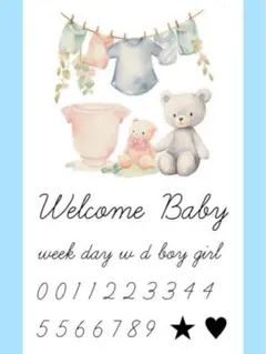 A5かわいいマタニティシール　マタニティフォトシール　マタニティペイントシール