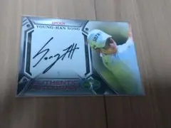 Item thumbnail for item d2702047-8d01-462a-bd3e-7f263554b8db