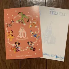 ディズニーセレブレーションホテル　宿泊者限定　40周年ポストカード