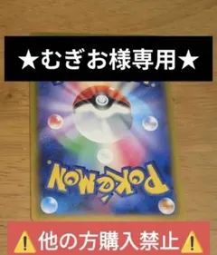 ★むぎおさま専用★⚠️他の方購入禁止⚠️