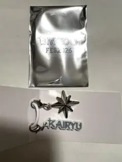 BMSGフェス マーカーチャーム KAIRYU カイリュウ