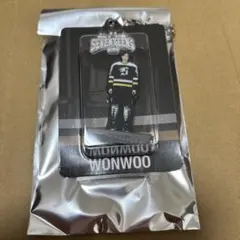 SEVENTEEN セブチ HOME アクリルキーリング ウォヌ