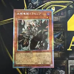 2026年最新】血樹竜姫ドラセレアの人気アイテム - メルカリ