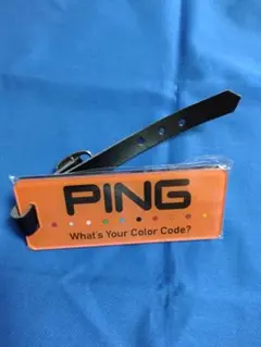 PING ネームプレートのサムネイル