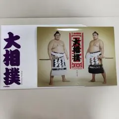 Item thumbnail for item a7a5f09a-41a2-42ab-bfd0-c58fb2ea6556