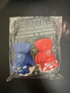 Item thumbnail for item 09079c11-2dbc-4dee-b442-a446230bd955