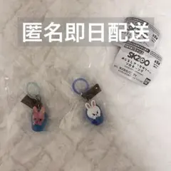 SKZOOめじるしアクセサリーソロキャンプ leebit DWAEKKIのサムネイル