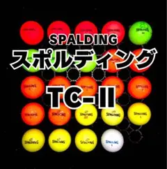 2※スポルディング TOUR COMPⅡ 他 ロストボール24球のサムネイル