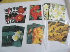 Item thumbnail for item d34e17d4-b9c6-4f5e-8325-5e98e41ad3c5