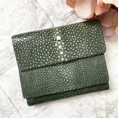 未使用✨muta ムータ　財布 ガルーシャ エイ革 本革 リアル　グリーン