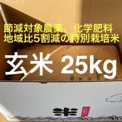 令和7年産 こだわりのお米 特別栽培米 コシヒカリ 玄米 30kg（梱包込み