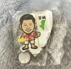 福岡ソフトバンクホークス ガチャ ファイト九州 レア アクリルスタンド 中村晃