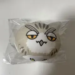 ハイキュー 動物ミニビーズクッション 木兎光太郎