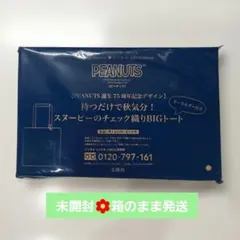 リンネル 10月号付録 PEANUTS スヌーピーのチェック織りBIGトート