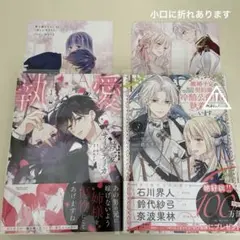 執愛サイケデリカ / 離婚予定の契約婚なのに、冷酷公爵様に執着されています