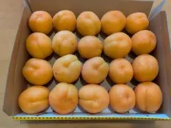 無農薬　新鮮な杏(あんず) 産地直送 箱入りのサムネイル