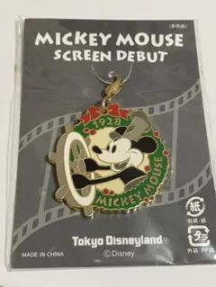 新品未開封チャーム 限定グッズ 東京ディズニーランド　スクリーンデビュー