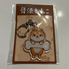 柴犬 骨付きアクリルキーホルダー