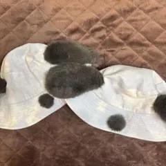 【2個セット】ユニバ 帽子 USJ スヌーピー バケハ