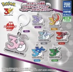 ポケモン メタルチャームマスコット 30周年 コンプリートセット 新品
