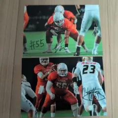 Item thumbnail for item 9288f5f5-dd70-4704-ae29-71ee8b68a6c5