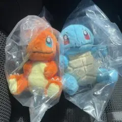 一番くじポケモン30周年 C賞カントー地方ぬいぐるみヒトカゲゼニガメ 2体セット
