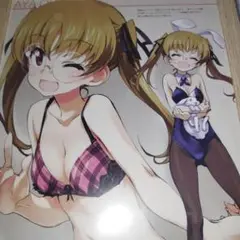 ガールズ＆パンツァー 　大野あや　額装　B5サイズ