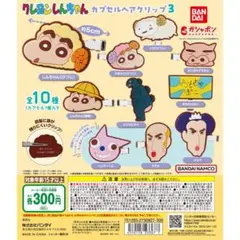【ひまわりとシロ】クレヨンしんちゃんヘアクリップ3