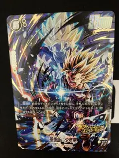 孫悟飯：少年期　SR パラレル fs09-10