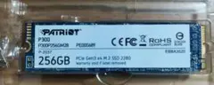 PATRIOT P300 256GB M.2 SSD