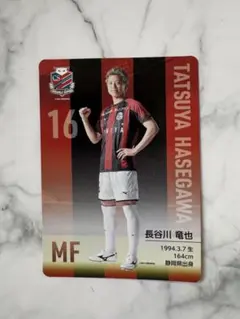 北海道コンサドーレ札幌　2025太鼓判カード　長谷川竜也選手