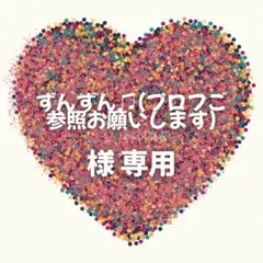 ずんずん♫(プロフご参照お願いします) 様　専用ページ