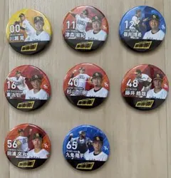 2026年最新】ホークス 缶バッジの人気アイテム - メルカリ