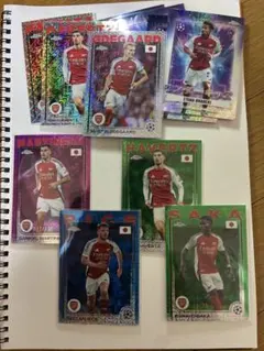 Item thumbnail for item b84f4d6c-4bc4-46a5-9552-662a0b69f558