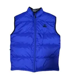 2025年最新】nike acg ダウンベストの人気アイテム - メルカリ