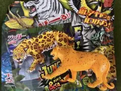 デアゴスティーニ