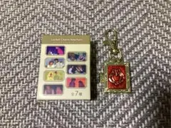 ディズニーストア シークレットキーチェーン