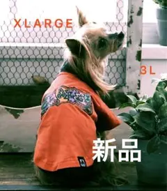新品 XLARGE Tシャツ 袖あり 3L 犬服 犬洋服 エクストララージのサムネイル