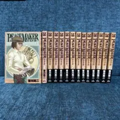 漫画 皆川亮二 PEACEMAKERピースメーカー 1〜13,15巻セット