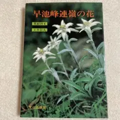 早池峰連嶺の花 花紀行4/文化出版局