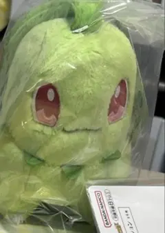 まろん様専用のサムネイル