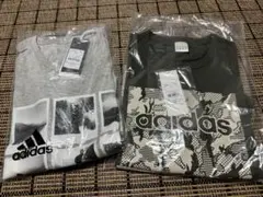 Item thumbnail for item 0c5626eb-42ca-4968-ba9f-feba7e3d0ea9